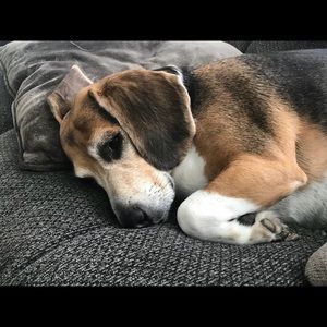 Meet your Posher, Yelissa